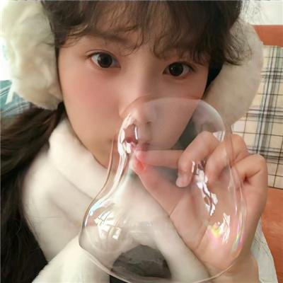 豹